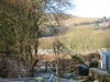 View from Back Garden