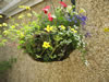 3788 HangingBasket