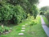 3882 Garden