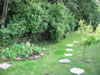 IMG 3881